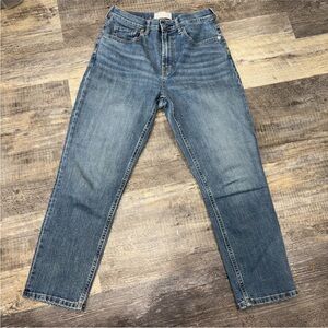 Everlane Women’s High waist straight Jeans Size 28 Ankle